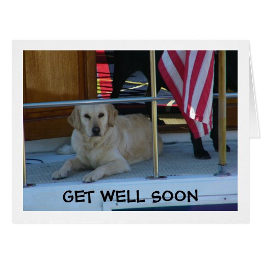 GOLDEN RETRIEVER SAYS PLEASE GET WELL SOON CARD | Zazzle