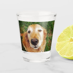 Golden Retriever Shot Glass