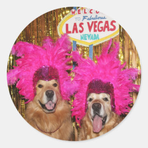 Golden Retriever Showgirls Classic Round Sticker