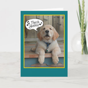 Golden Retriever Singing Praises Thank You Card