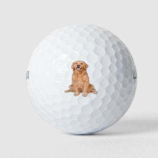 Golden Retriever Sitting - Adorable Design Golf Balls