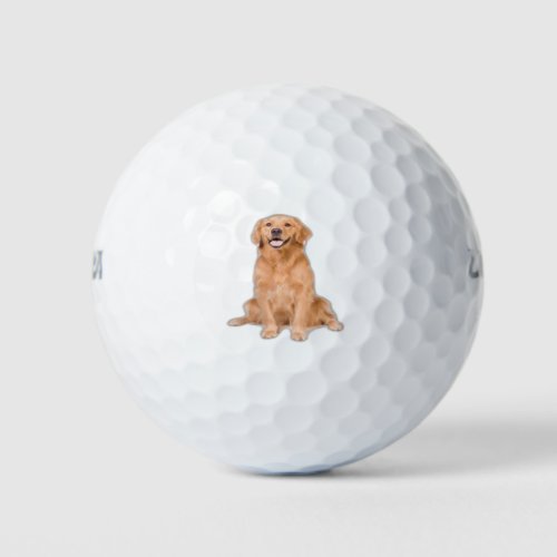 Golden Retriever Sitting _ Adorable Design Golf Balls