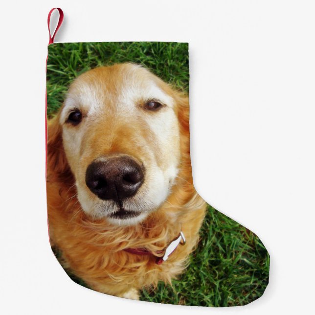 Golden Retriever Small Christmas Stocking (Front)