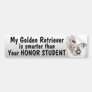 Golden Retriever - smarter than student - funny Bumper Sticker