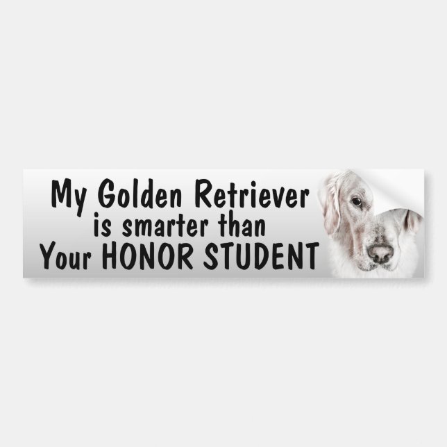 Golden Retriever - smarter than student - funny Bumper Sticker (Front)