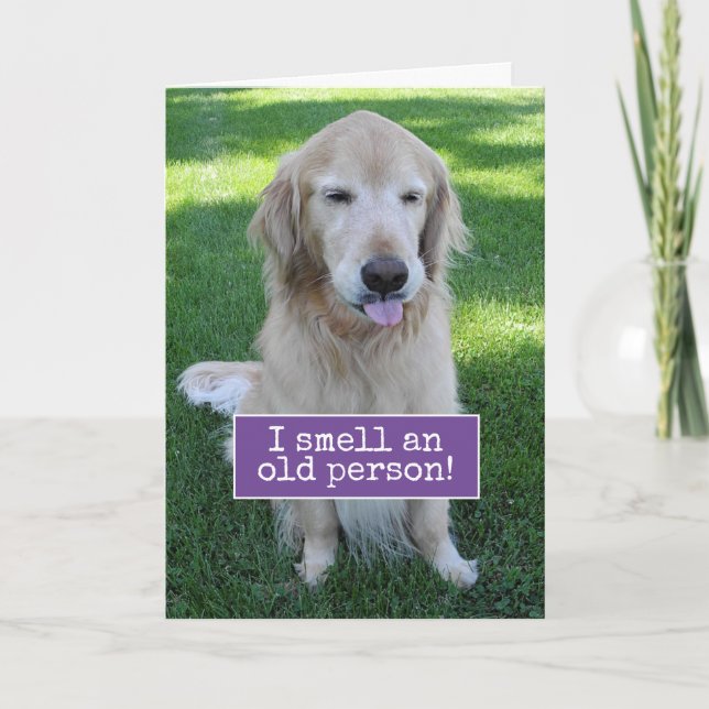 Golden Retriever Smells An Old Person Birthday Card (Front)