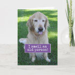 Golden Retriever Smells An Old Person Birthday Card at Zazzle
