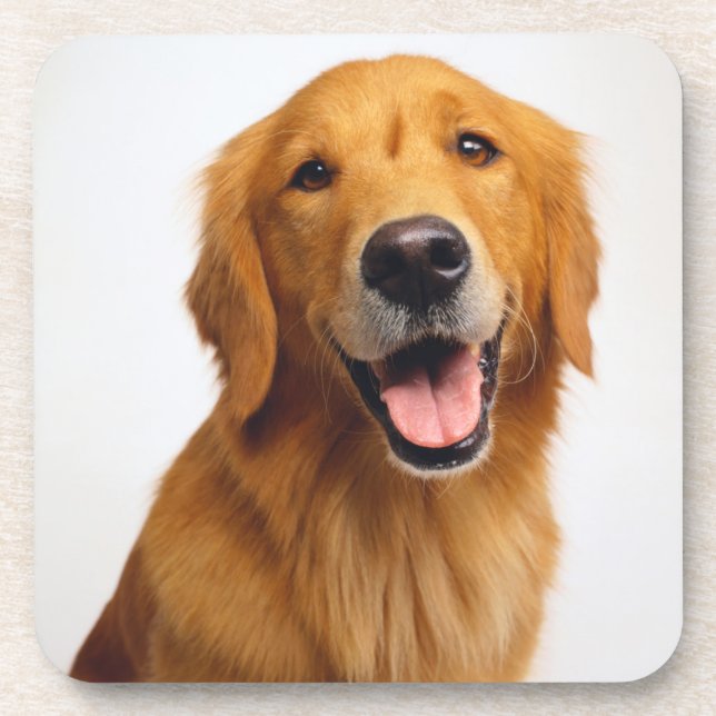 Golden Retriever Smile Beverage Coaster (Front)