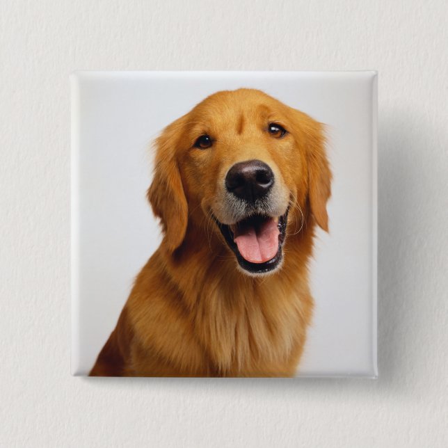 Golden Retriever Smile Button (Front)