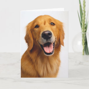 Golden Retriever Smile Card
