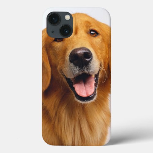 Golden Retriever Smile iPhone 13 Case