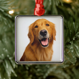 Golden Retriever Smile Metal Ornament