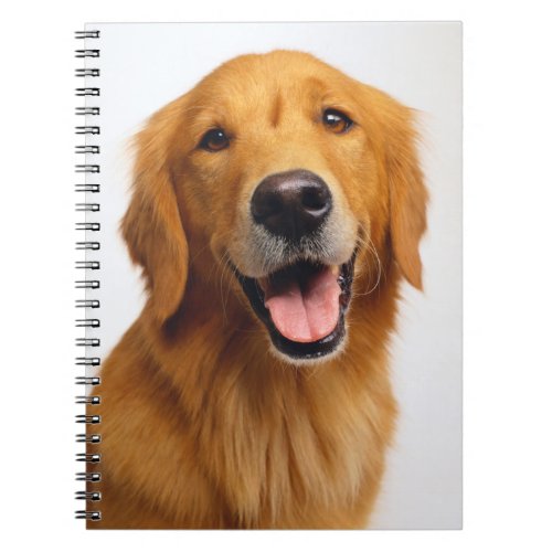 Golden Retriever Smile Notebook