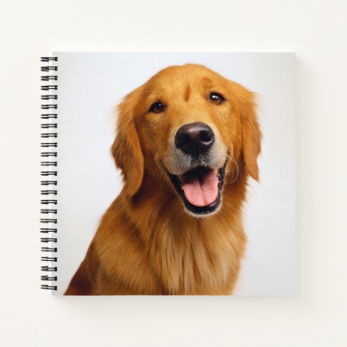 Golden Retriever Smile Notebook