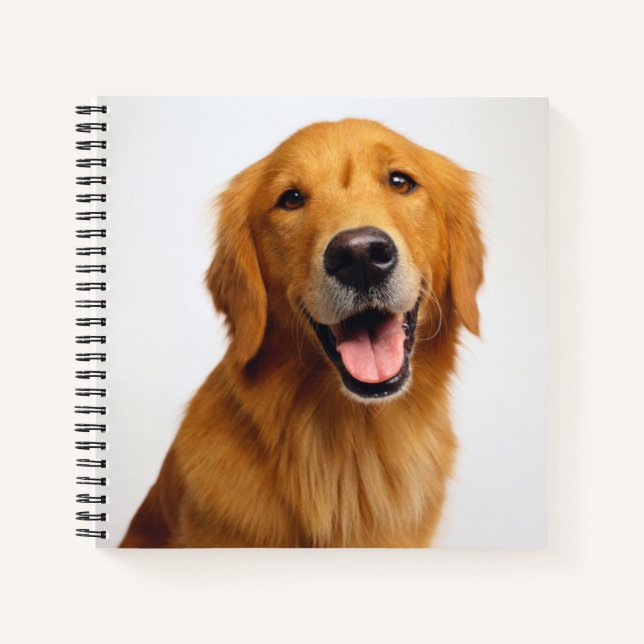 Golden Retriever Smile Notebook (Front)