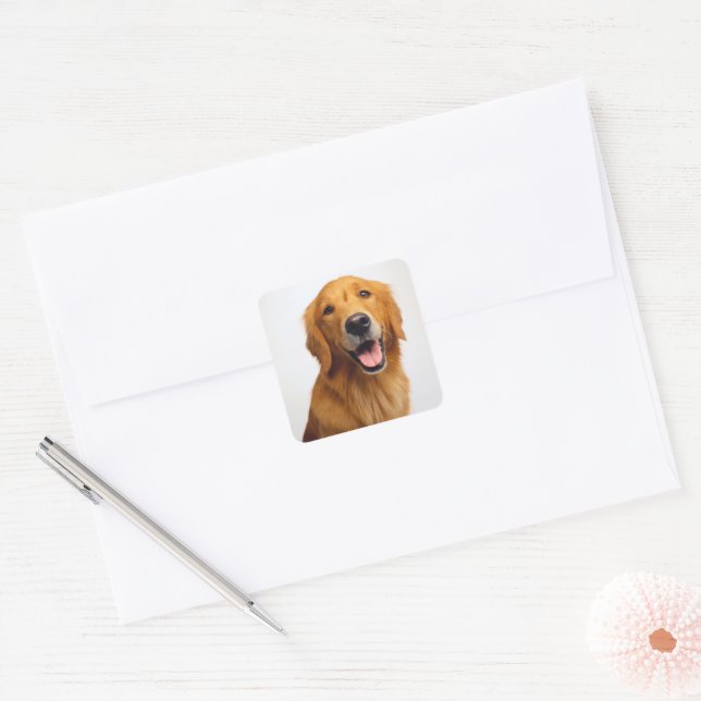 Golden Retriever Smile Square Sticker (Envelope)