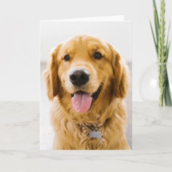 Golden Retriever Smiling Card by cutestbabyanimals at Zazzle
