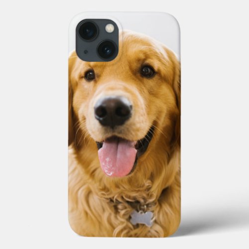 Golden Retriever Smiling iPhone 13 Case