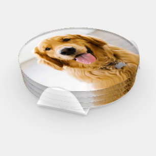 Golden Retriever Smiling Coaster Set