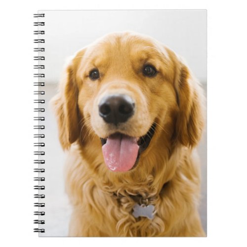 Golden Retriever Smiling Notebook