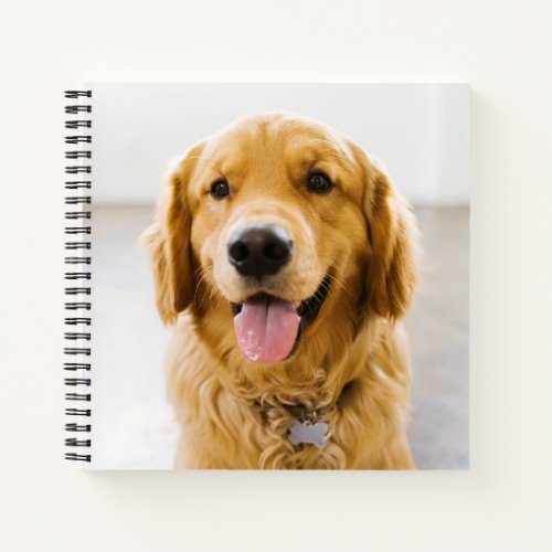 Golden Retriever Smiling Notebook