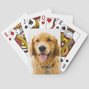 Golden Retriever Smiling Poker Cards