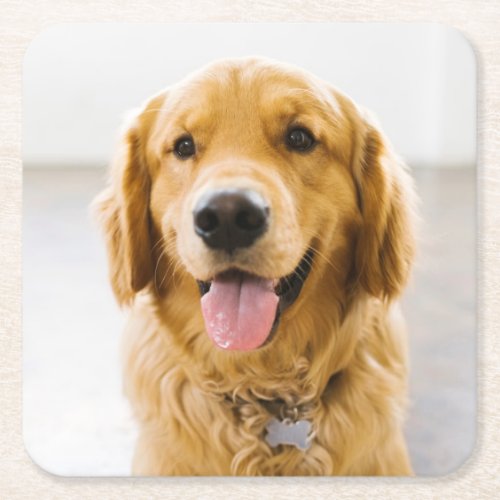 Golden Retriever Smiling Square Paper Coaster