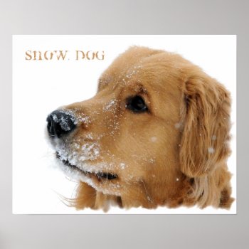 Golden Retriever Snow Dog Customizable Poster by artinphotography at Zazzle