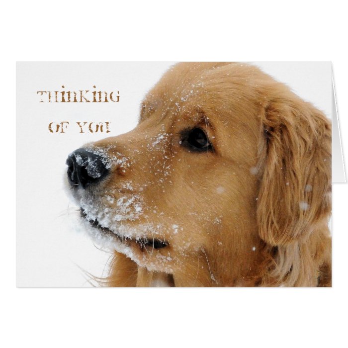 Golden Retriever Snow Dog Thinking of You Greeting Cards