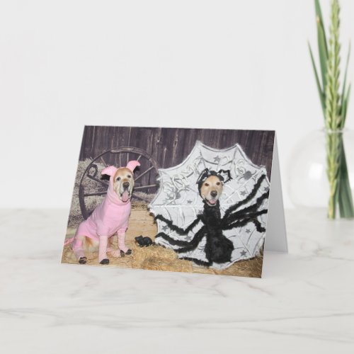 Golden Retriever Spider and Pig Friendship Card