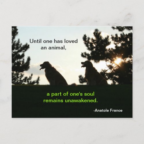 Golden Retriever Spiritual Pet Quote Postcard