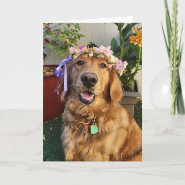 Golden Retriever spring or everyday card (Front)