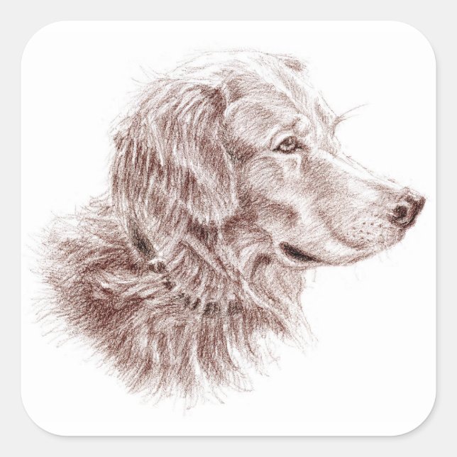 Golden Retriever Square Sticker (Front)