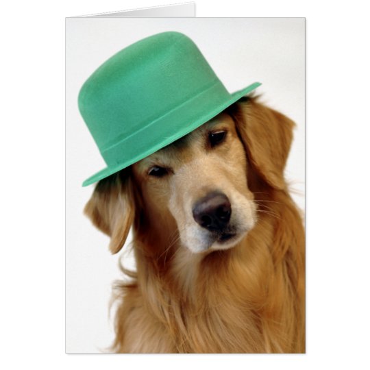 st patricks day golden retriever