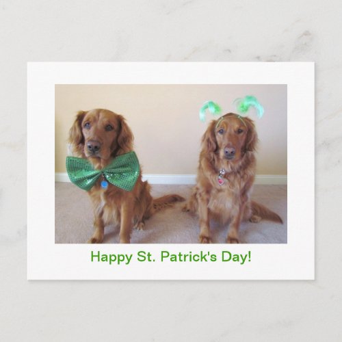 Golden Retriever St Patricks Day Postcard