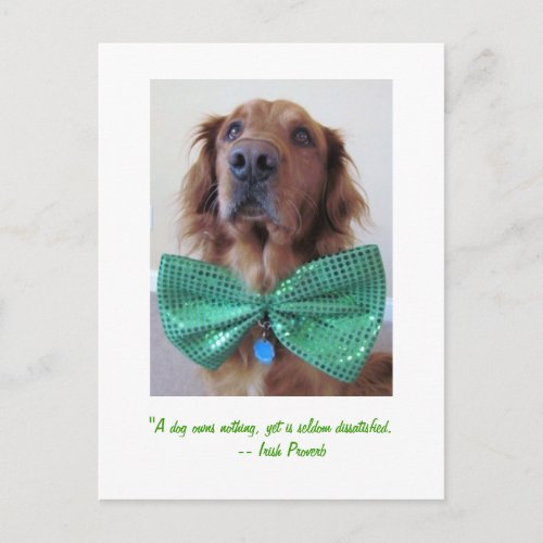 Golden Retriever St Patricks Day Postcard