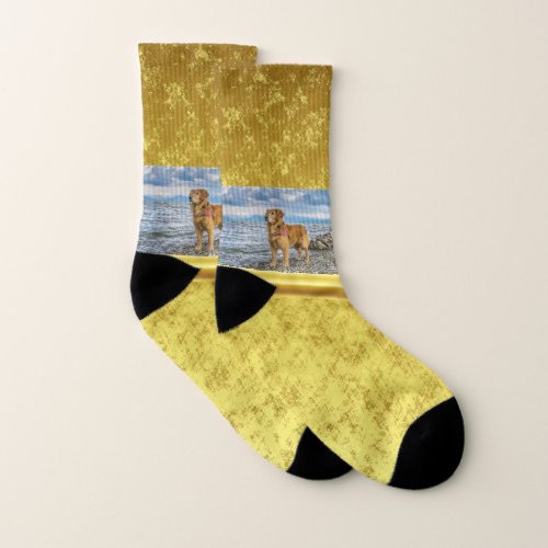 Golden Retriever standing on the blue ocean rocky Socks