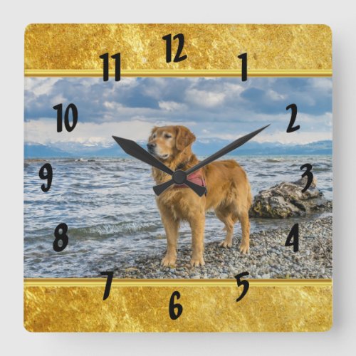 Golden Retriever standing on the blue ocean rocky Square Wall Clock