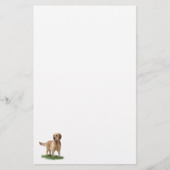 Golden Retriever Stationery by AutumnRoseMDS at Zazzle