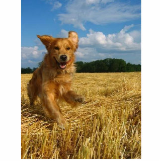 golden-retriever statuette