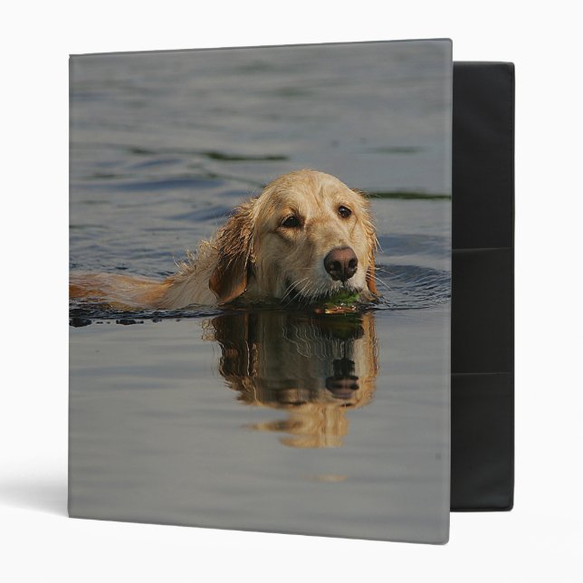 Golden Retriever Swimming 3 Ring Binder (Front/Inside)