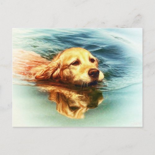 Golden Retriever Swimming _ Dog Art Postcard