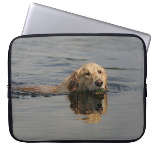 Golden Retriever Swimming Laptop Sleeve