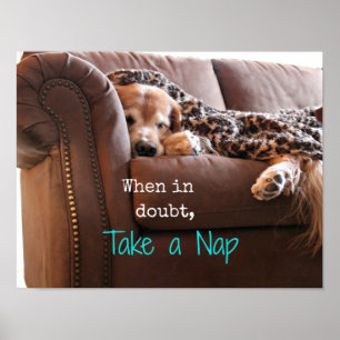 Golden Retriever Take a Nap Poster