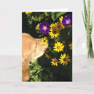 Golden Retriever takes time to smell the flowers. Letterpress Thank You Card