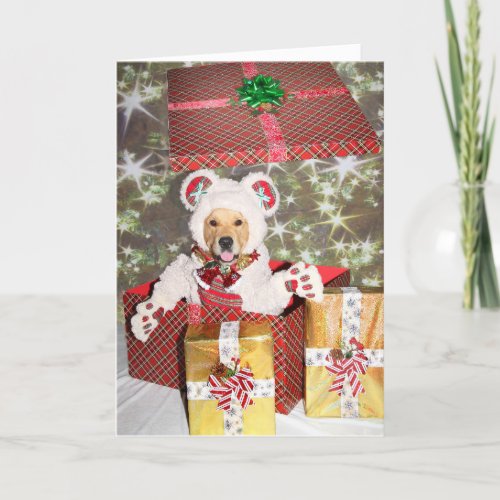 Golden Retriever Teddy Bear Gift Holiday Card