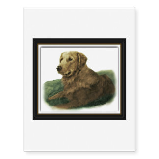 Golden Retriever Temporary Tattoos