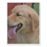Golden Retriever Temporary Tattoos