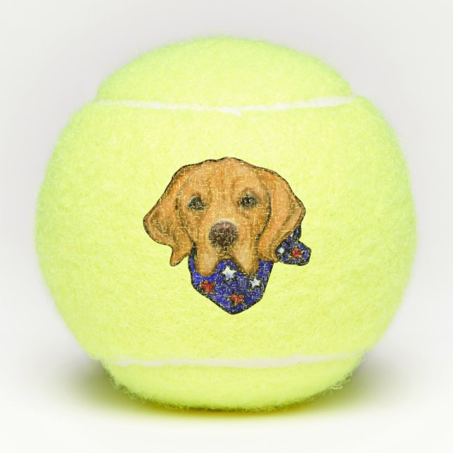 Golden Retriever Tennis Balls (Front)