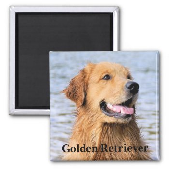 Golden Retriever Text Magnet by artinphotography at Zazzle